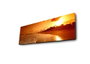 Wallity Cuadro Decorativo en Lienzo Iluminado con LED 30 x 90 cm